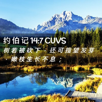 Picture 02 - 约 伯 记 14:7 CUVS - 树 若 被 砍 下 ， 还 可 指 望 发 芽 - Bible Verse Picture