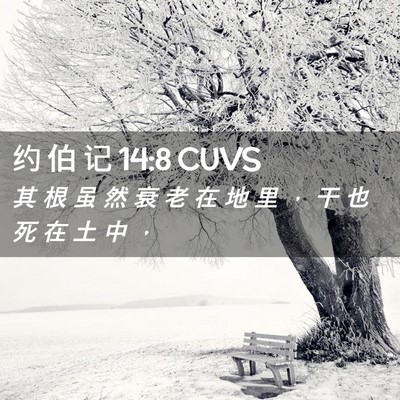 Picture 02 - 约 伯 记 14:8 CUVS - 其 根 虽 然 衰 老 在 地 里 ， 干 也 - Bible Verse Picture