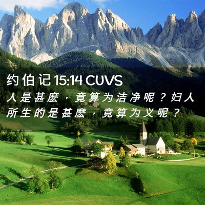 Picture 02 - 约 伯 记 15:14 CUVS - 人 是 甚 麽 ， 竟 算 为 洁 净 呢 ？ - Bible Verse Picture