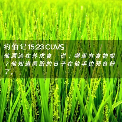 Picture 02 - 约 伯 记 15:23 CUVS - 他 漂 流 在 外 求 食 ， 说 ： 哪 里 - Bible Verse Picture