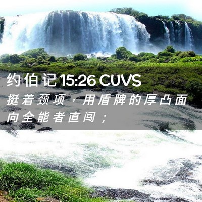 Picture 02 - 约 伯 记 15:26 CUVS - 挺 着 颈 项 ， 用 盾 牌 的 厚 凸 面 - Bible Verse Picture