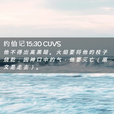 Picture 02 - 约 伯 记 15:30 CUVS - 他 不 得 出 离 黑 暗 。 火 焰 要 将 - Bible Verse Picture