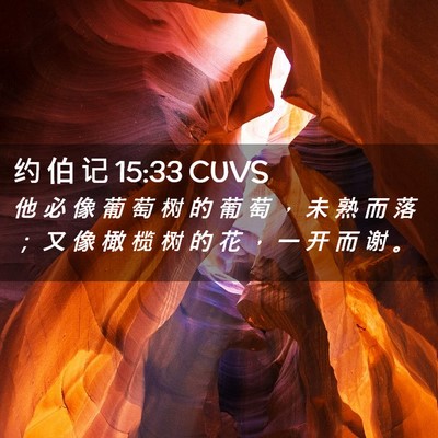 Picture 02 - 约 伯 记 15:33 CUVS - 他 必 像 葡 萄 树 的 葡 萄 ， 未 熟 - Bible Verse Picture
