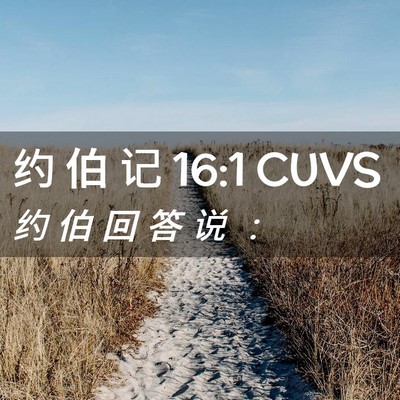 Picture 02 - 约 伯 记 16:1 CUVS - 约 伯 回 答 说 - Bible Verse Picture
