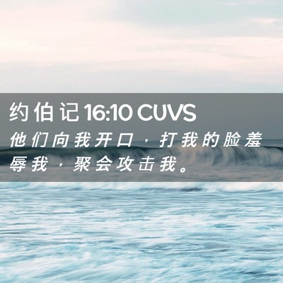 Picture 02 - 约 伯 记 16:10 CUVS - 他 们 向 我 开 口 ， 打 我 的 脸 羞 - Bible Verse Picture