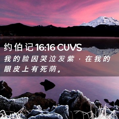 Picture 02 - 约 伯 记 16:16 CUVS - 我 的 脸 因 哭 泣 发 紫 ， 在 我 的 - Bible Verse Picture