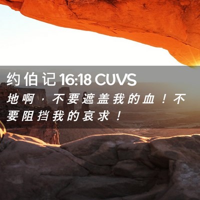 Picture 02 - 约 伯 记 16:18 CUVS - 地 啊 ， 不 要 遮 盖 我 的 血 ！ 不 - Bible Verse Picture
