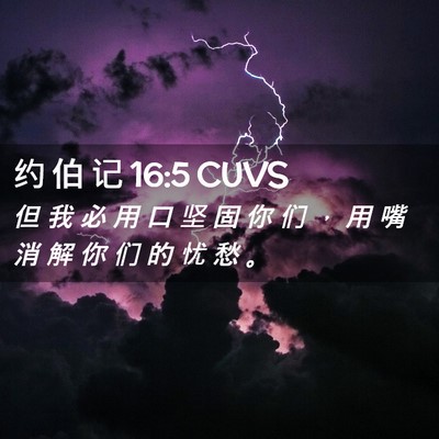 Picture 02 - 约 伯 记 16:5 CUVS - 但 我 必 用 口 坚 固 你 们 ， 用 嘴 - Bible Verse Picture
