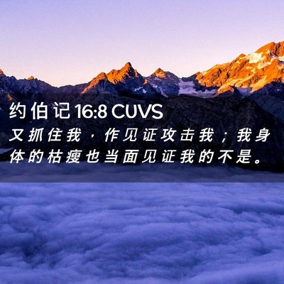 Picture 02 - 约 伯 记 16:8 CUVS - 又 抓 住 我 ， 作 见 证 攻 击 我 ； - Bible Verse Picture