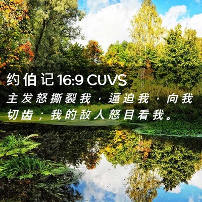 Picture 02 - 约 伯 记 16:9 CUVS - 主 发 怒 撕 裂 我 ， 逼 迫 我 ， 向 - Bible Verse Picture