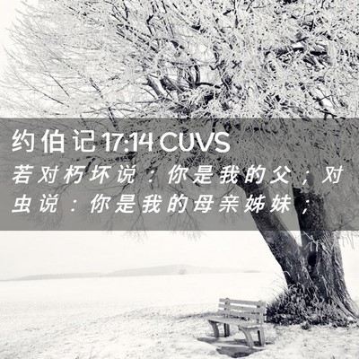 Picture 02 - 约 伯 记 17:14 CUVS - 若 对 朽 坏 说 ： 你 是 我 的 父 ； - Bible Verse Picture