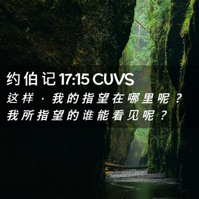 Picture 02 - 约 伯 记 17:15 CUVS - 这 样 ， 我 的 指 望 在 哪 里 呢 ？ - Bible Verse Picture