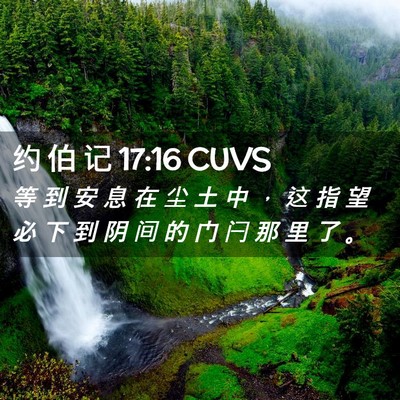 Picture 02 - 约 伯 记 17:16 CUVS - 等 到 安 息 在 尘 土 中 ， 这 指 望 - Bible Verse Picture