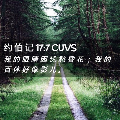 Picture 02 - 约 伯 记 17:7 CUVS - 我 的 眼 睛 因 忧 愁 昏 花 ； 我 的 - Bible Verse Picture
