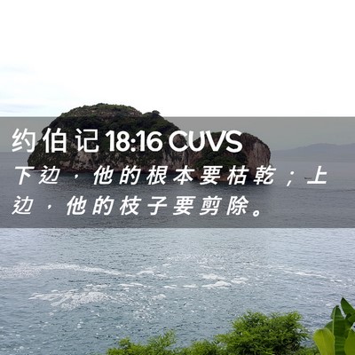 Picture 02 - 约 伯 记 18:16 CUVS - 下 边 ， 他 的 根 本 要 枯 乾 ； 上 - Bible Verse Picture