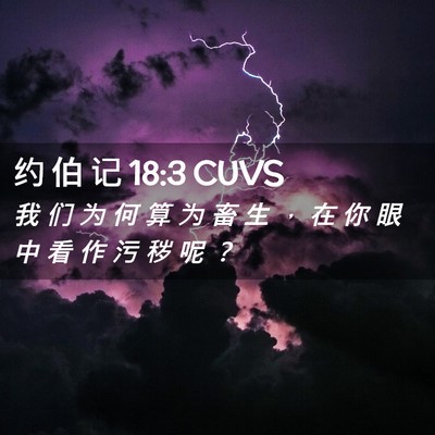 Picture 02 - 约 伯 记 18:3 CUVS - 我 们 为 何 算 为 畜 生 ， 在 你 眼 - Bible Verse Picture