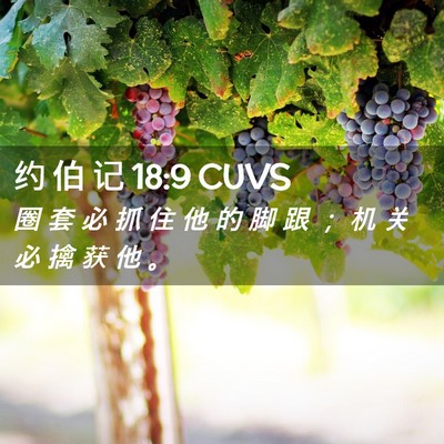 Picture 02 - 约 伯 记 18:9 CUVS - 圈 套 必 抓 住 他 的 脚 跟 ； 机 关 - Bible Verse Picture