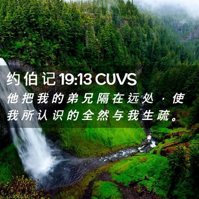 Picture 02 - 约 伯 记 19:13 CUVS - 他 把 我 的 弟 兄 隔 在 远 处 ， 使 - Bible Verse Picture
