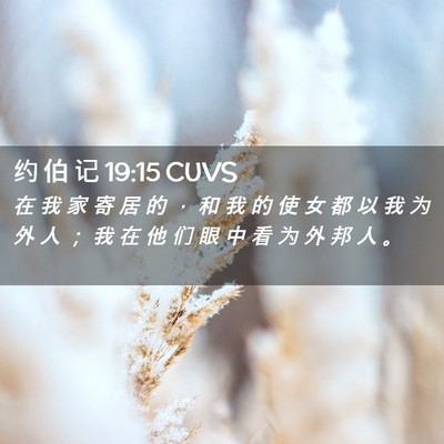 Picture 02 - 约 伯 记 19:15 CUVS - 在 我 家 寄 居 的 ， 和 我 的 使 女 - Bible Verse Picture