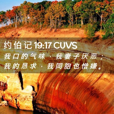 Picture 02 - 约 伯 记 19:17 CUVS - 我 口 的 气 味 ， 我 妻 子 厌 恶 ； - Bible Verse Picture