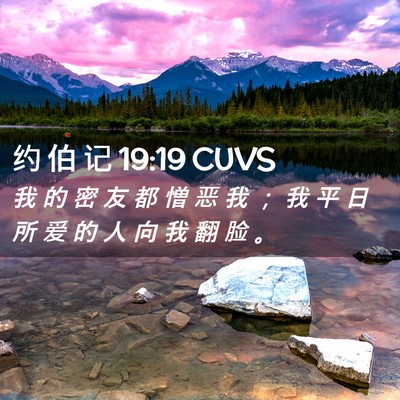 Picture 02 - 约 伯 记 19:19 CUVS - 我 的 密 友 都 憎 恶 我 ； 我 平 日 - Bible Verse Picture