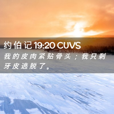 Picture 02 - 约 伯 记 19:20 CUVS - 我 的 皮 肉 紧 贴 骨 头 ； 我 只 剩 - Bible Verse Picture