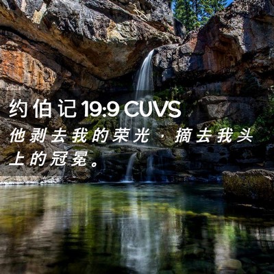 Picture 02 - 约 伯 记 19:9 CUVS - 他 剥 去 我 的 荣 光 ， 摘 去 我 头 - Bible Verse Picture