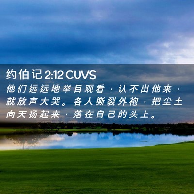 Picture 02 - 约 伯 记 2:12 CUVS - 他 们 远 远 地 举 目 观 看 ， 认 不 - Bible Verse Picture