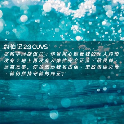 Picture 02 - 约 伯 记 2:3 CUVS - 耶 和 华 问 撒 但 说 ： 你 曾 用 心 - Bible Verse Picture