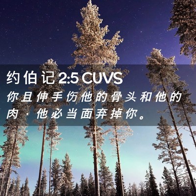 Picture 02 - 约 伯 记 2:5 CUVS - 你 且 伸 手 伤 他 的 骨 头 和 他 的 - Bible Verse Picture