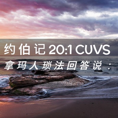 Picture 02 - 约 伯 记 20:1 CUVS - 拿 玛 人 琐 法 回 答 说 - Bible Verse Picture