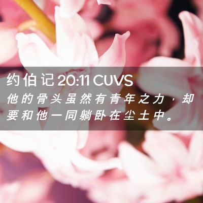 Picture 02 - 约 伯 记 20:11 CUVS - 他 的 骨 头 虽 然 有 青 年 之 力 ， - Bible Verse Picture