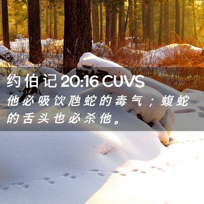 Picture 02 - 约 伯 记 20:16 CUVS - 他 必 吸 饮 虺 蛇 的 毒 气 ； 蝮 蛇 - Bible Verse Picture