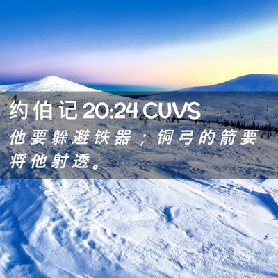 Picture 02 - 约 伯 记 20:24 CUVS - 他 要 躲 避 铁 器 ； 铜 弓 的 箭 要 - Bible Verse Picture