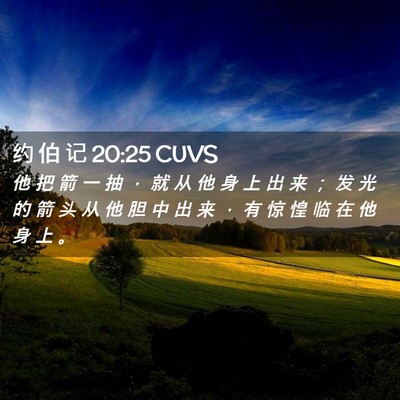 Picture 02 - 约 伯 记 20:25 CUVS - 他 把 箭 一 抽 ， 就 从 他 身 上 出 - Bible Verse Picture