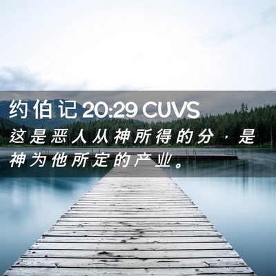 Picture 02 - 约 伯 记 20:29 CUVS - 这 是 恶 人 从 神 所 得 的 分 ， 是 - Bible Verse Picture