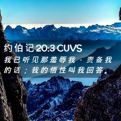 Picture 02 - 约 伯 记 20:3 CUVS - 我 已 听 见 那 羞 辱 我 ， 责 备 我 - Bible Verse Picture