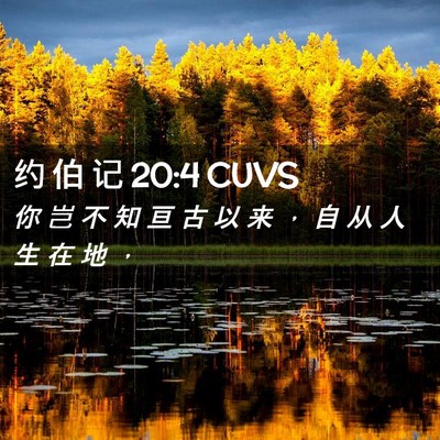 Picture 02 - 约 伯 记 20:4 CUVS - 你 岂 不 知 亘 古 以 来 ， 自 从 人 - Bible Verse Picture