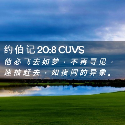Picture 02 - 约 伯 记 20:8 CUVS - 他 必 飞 去 如 梦 ， 不 再 寻 见 ， - Bible Verse Picture