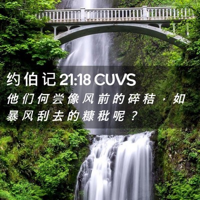 Picture 02 - 约 伯 记 21:18 CUVS - 他 们 何 尝 像 风 前 的 碎 秸 ， 如 - Bible Verse Picture