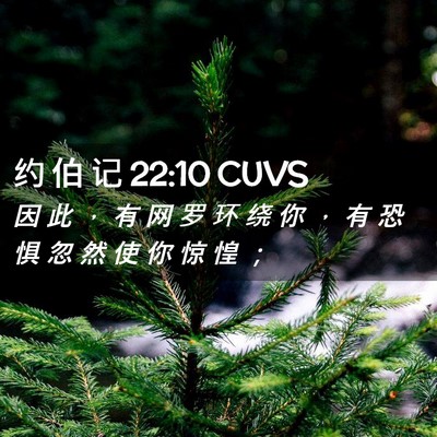 Picture 02 - 约 伯 记 22:10 CUVS - 因 此 ， 有 网 罗 环 绕 你 ， 有 恐 - Bible Verse Picture