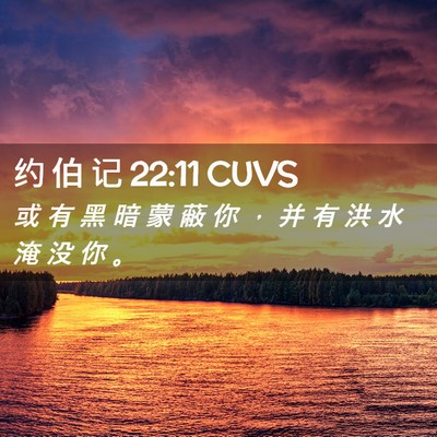 Picture 02 - 约 伯 记 22:11 CUVS - 或 有 黑 暗 蒙 蔽 你 ， 并 有 洪 水 - Bible Verse Picture