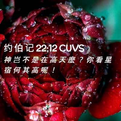 Picture 02 - 约 伯 记 22:12 CUVS - 神 岂 不 是 在 高 天 麽 ？ 你 看 星 - Bible Verse Picture