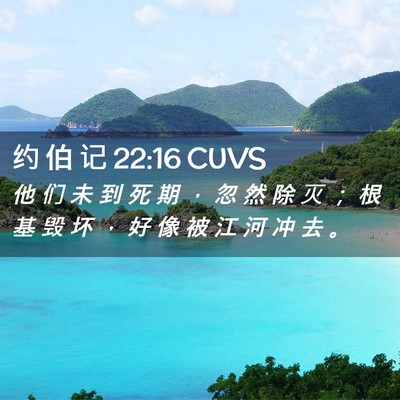 Picture 02 - 约 伯 记 22:16 CUVS - 他 们 未 到 死 期 ， 忽 然 除 灭 ； - Bible Verse Picture