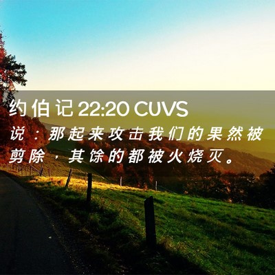 Picture 02 - 约 伯 记 22:20 CUVS - 说 ： 那 起 来 攻 击 我 们 的 果 然 - Bible Verse Picture