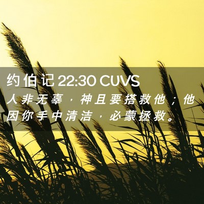 Picture 02 - 约 伯 记 22:30 CUVS - 人 非 无 辜 ， 神 且 要 搭 救 他 ； - Bible Verse Picture