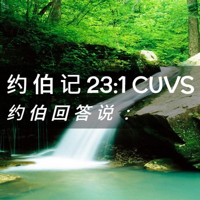 Picture 02 - 约 伯 记 23:1 CUVS - 约 伯 回 答 说 - Bible Verse Picture