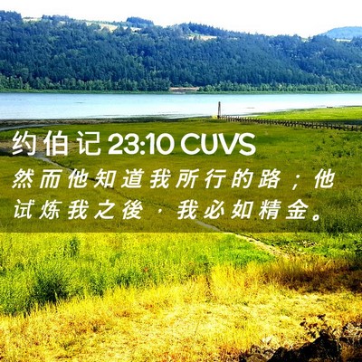 Picture 02 - 约 伯 记 23:10 CUVS - 然 而 他 知 道 我 所 行 的 路 ； 他 - Bible Verse Picture