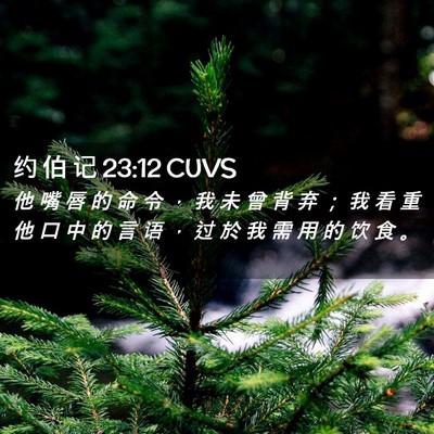 Picture 02 - 约 伯 记 23:12 CUVS - 他 嘴 唇 的 命 令 ， 我 未 曾 背 弃 - Bible Verse Picture