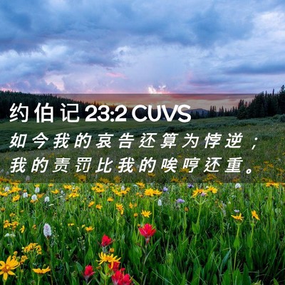 Picture 02 - 约 伯 记 23:2 CUVS - 如 今 我 的 哀 告 还 算 为 悖 逆 ； - Bible Verse Picture
